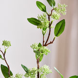 Lang Pilegren (2. sortering)