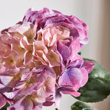 Stor Vintage Hortensia - Violet