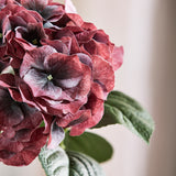 Stor Vintage Hortensia - Dyb Bordeaux