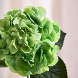 Fyldigt Hortensia Bundt - Grøn