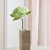 Hortensia Blomst - Lysegrøn