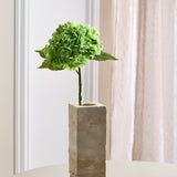 Hortensia Blomst - Grøn