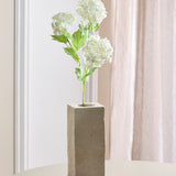 3 Hovedet Hortensia "Snowball" - Hvid