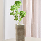 3 Hovedet Hortensia "Snowball" - Grøn