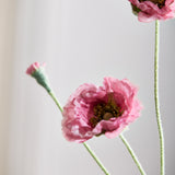 Valmue "Opium" - Pink