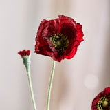 Valmue "Opium" - Rød