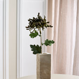 Stor Krysantemum - Grøn