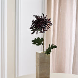 Stor Krysantemum - Bordeaux