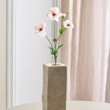 Sommerfugl Ranunkel - Lyserød