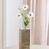 Sommerfugl Ranunkel - Hvid