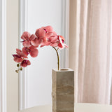 Sommerfugleorkidé - Rosa