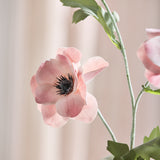 Anemone Blomst - Støvet Rosa