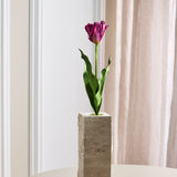 Papegøje Tulipan - Lilla