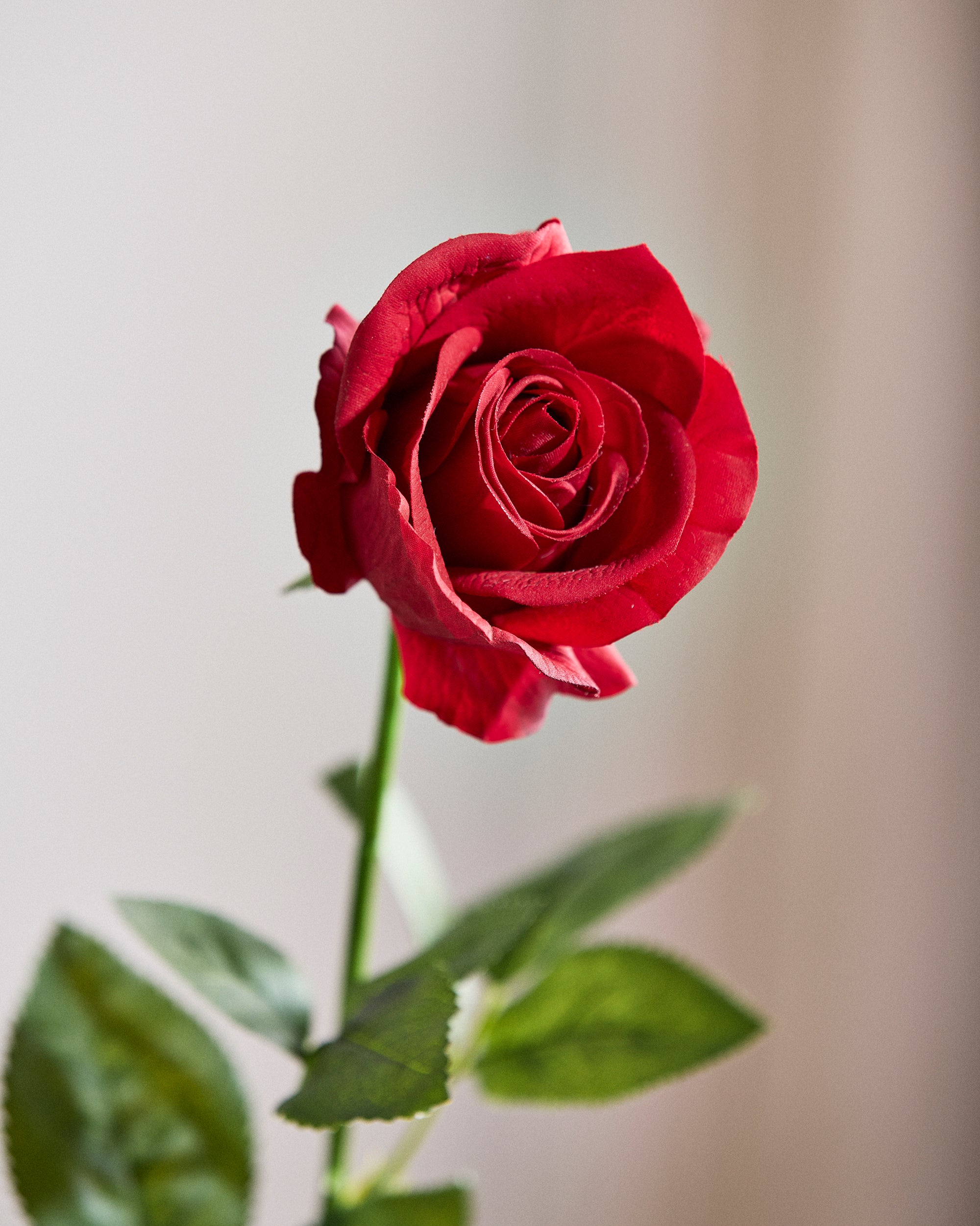 Luksus Grandiøs Rose Buket - Rød – Okholm Studio