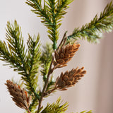 Green 2 Forked Cedar Pine with Fruit