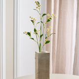 Marguerit Blomst - Hvid