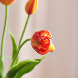Luksus Tulipan Buket - Orange