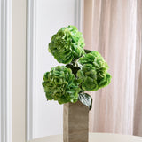 Fyldigt Hortensia Bundt - Grøn