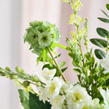 LIMITED EDITION: Golden Matcha