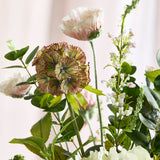 LIMITED EDITION: Signature