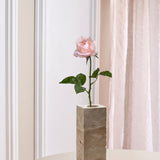 Langstilket Rose - Lyserød