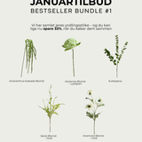 BESTSELLER BUNDLE #1