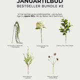 BESTSELLER BUNDLE #2