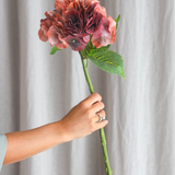 Stor Vintage Hortensia - Bordeaux