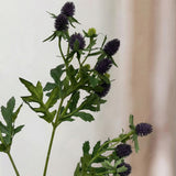 Tidsel Blomst - Lilla