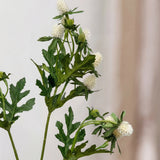 Tidsel Blomst - Hvid