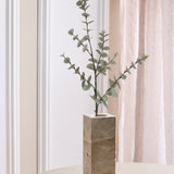 Fyldige Eucalyptus Blade – Støvet Grøn