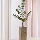 Eucalyptus Stem - Green