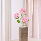 light pink hydrangea