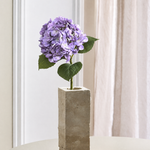 Luksus Hortensia - Lavendel
