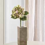 Luksus Hortensia - Lysegrøn/Rosa