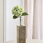 Luksus Hortensia - Støvet Grøn