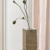 Valmueknopper - Grøn