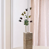 Rose Kapsel